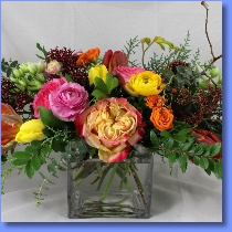 Flowers Available This Time Of Year  |  Periwinkle Flowers Toronto florist