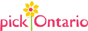 Pick Ontario  |  Periwinkle Flowers Toronto florist