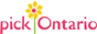 Pick Ontario | Periwinkle Flowers Toronto florist Pick Ontario | Periwinkle Flowers Toronto florist